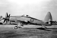 Royal Navy Westland Wyvern S.4 VZ748