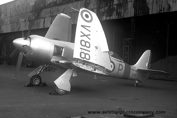Royal Navy Hawker Sea Fury T.20 VX818 (1949)