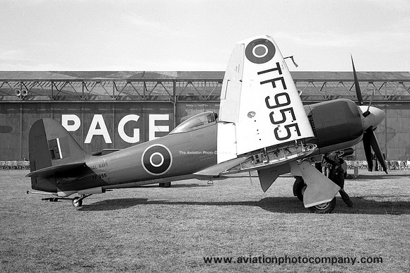 Royal Navy Hawker Sea Fury FB.10 TF955 (1947)