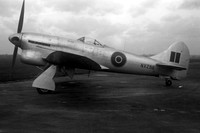 RAF Hawker Tempest 6 NX288 (1949)