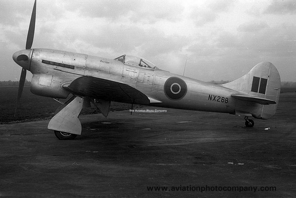 RAF Hawker Tempest 6 NX288 (1949)