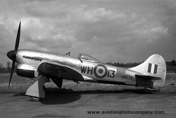 RAF Acklington APS Hawker Tempest TT.5 SN274/WH-13 (1951)