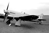 RAF Hawker Tempest TT.5 EJ875 (1953)