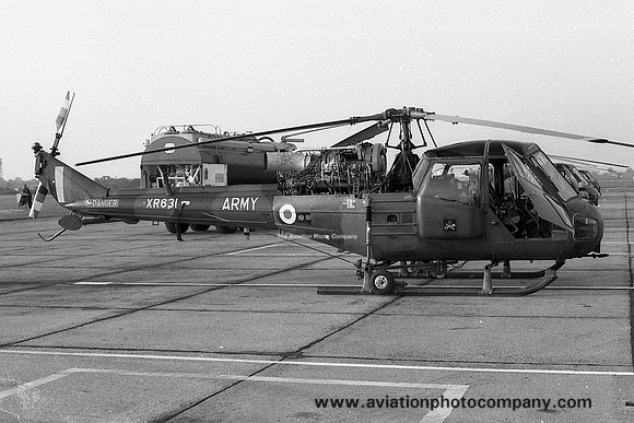 Army Air Corps 6 Flight Westland Scout AH.1 XR631