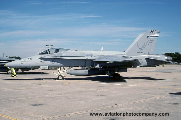 US Navy VFA-136 McDonnell Douglas F/A-18C Hornet 164230/AG-301 (2000)