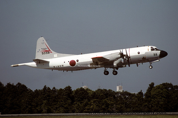 JMSDF 203 Squadron Lockheed P-3C Orion 5038 (2002)