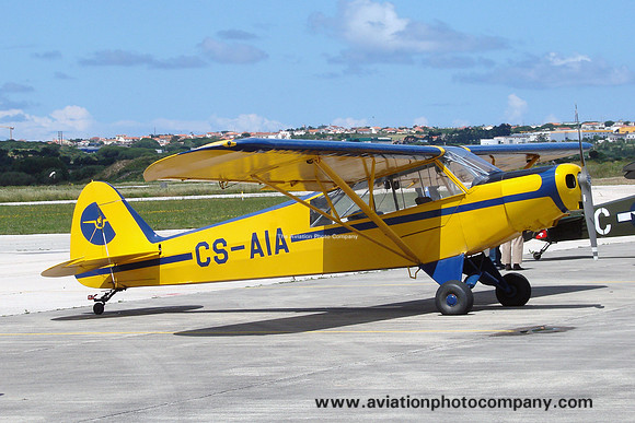 Piper PA-18-125 Super Cub CS-AIA (2008)