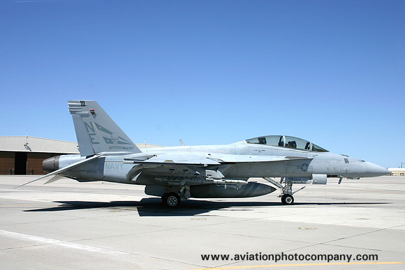 US Navy VFA-2 McDonnell Douglas F/A-18F Super Hornet 165925/NE-111 (2009)