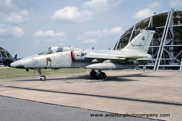 Italian Air Force 3 Stormo Aeritalia AMX MM7121/3-31 (1995)
