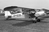 Piper PA-18-95 Cub OY-ECO