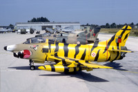 Portuguese Air Force Esq 301 FIAT G-91R 5455 (1987)