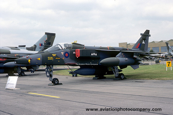RAF 2 Squadron Sepecat Jaguar GR.1 XZ391 (1977)