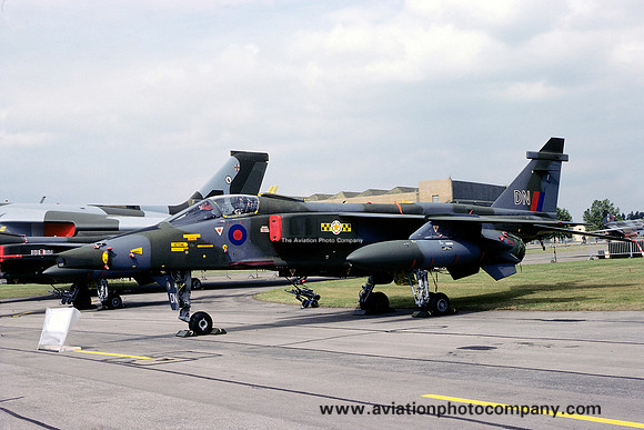 RAF 31 Squadron Sepecat Jaguar GR.1 XZ387/DN (1977)