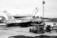 RAF 4 FTS Folland Gnat T.1 XP503/03 (1966)