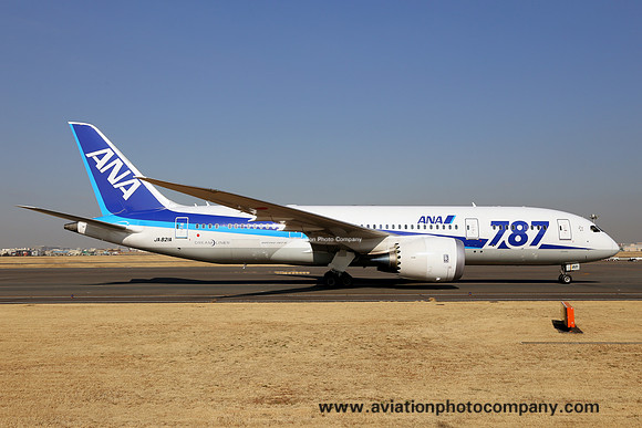 ANA Boeing 787-8 JA821A at Tokyo Haneda (2014)