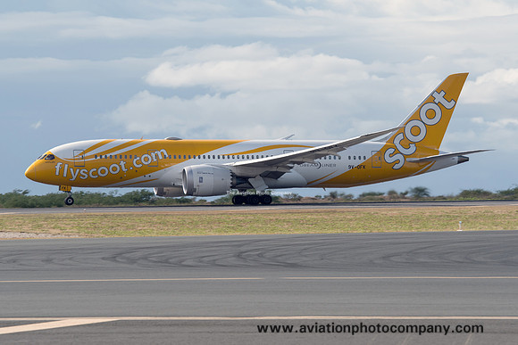 Scoot Boeing 787-8 9V-OFK at Honolulu IAP (2019)