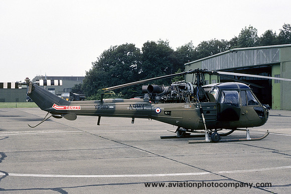 Army Air Corps 659 Squadron Westland Scout AH.1 XP910 (1978)