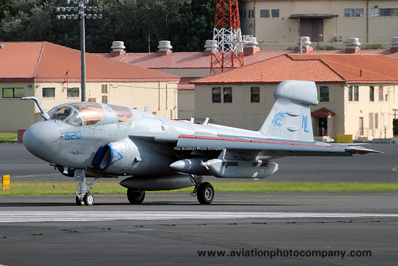 US Navy VAQ-142 Grumman EA-6B Prowler 163396/NL-520 at Lajes (2009)
