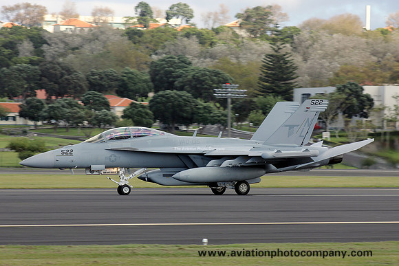 US Navy VAQ-135 Boeing EA-18G Growler 166942/NL-522 at Lajes (2012)