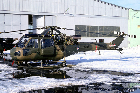 Army Air Corps 659 Squadron Westland Scout AH.1 XT648 (1979)