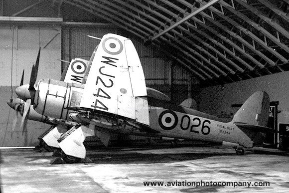 Royal Navy FRU Hawker Sea Fury FB.11 WJ244/026