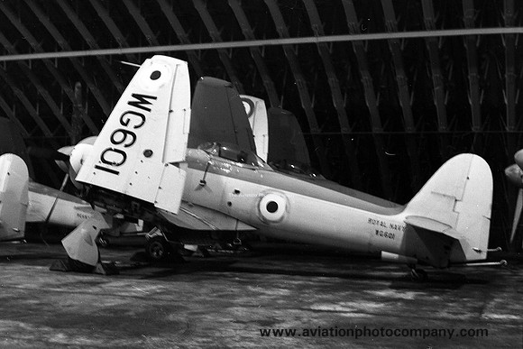 Royal Navy Hawker Sea Fury FB.11 WG601