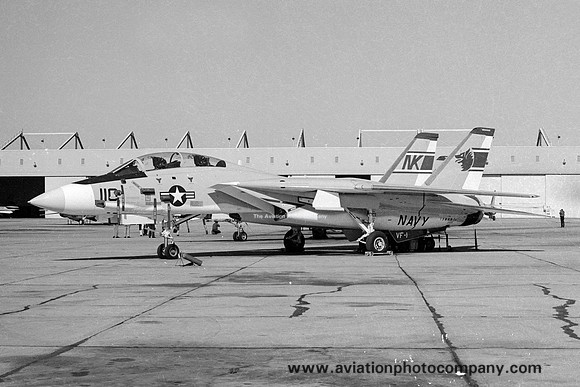 US Navy VF-1 Grumman F-14A Tomcat 158991/NK-110 (1974)