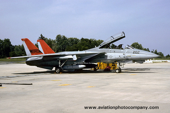 US Navy NAWC Grumman F-14A Tomcat 159455/202 at NAS Patuxent River (1993)