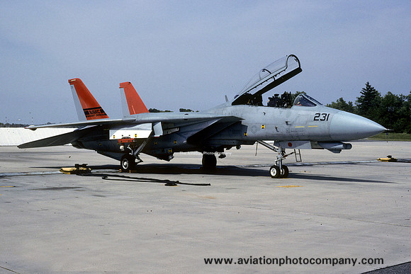 US Navy NAWC Grumman F-14A Tomcat 163417/231 at NAS Patuxent River (1993)