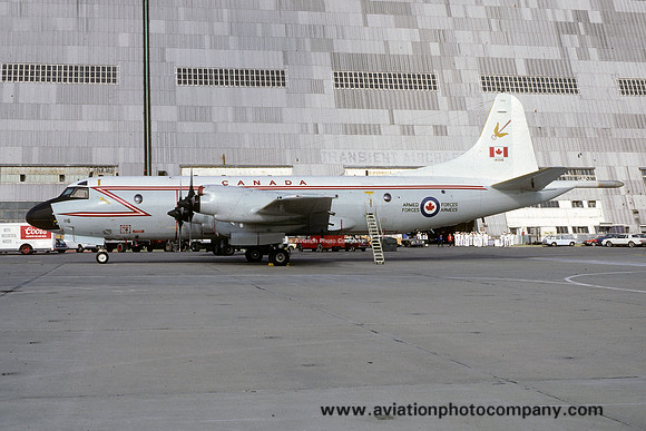 Canadian Air Force 412 Squadron Lockheed CP-140 Aurora 140116 at Moffett Field (1982)