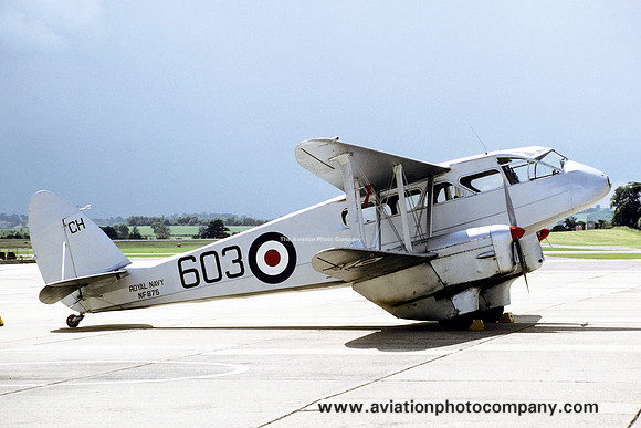 Royal Navy De Havilland Dominie NF875 (1979)