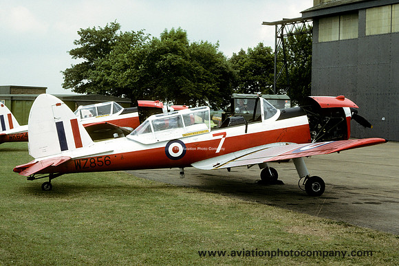 RAF 7 AEF DHC-1 Chipmunk T.10 WZ856 (1979)