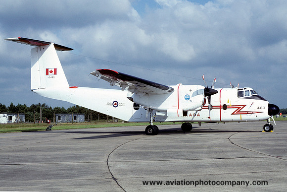 Canadian Armed Forces 424 Squadron DHC-5 Buffalo (CC-115) 115463 (1981)