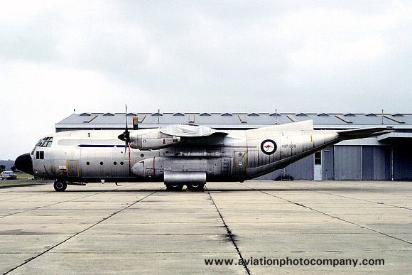 RAAF Lockheed C-130A Hercules A97-209 stored at Wagga Wagga (1982)