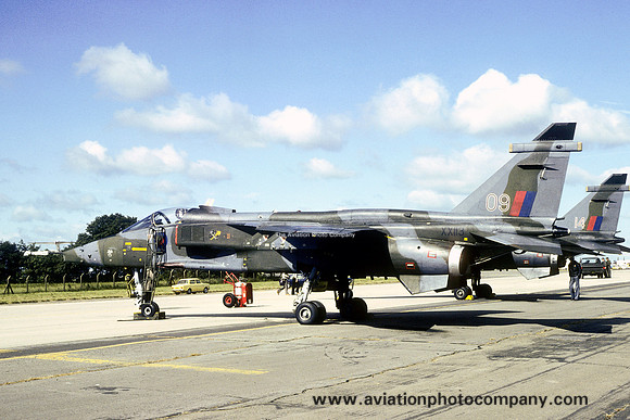 RAF 226 OCU Sepecat Jaguar GR.1 XX113/09 (1980)