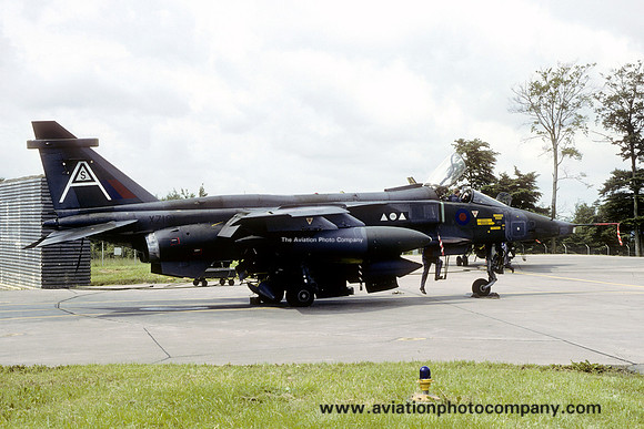 RAF 2 Squadron Sepecat Jaguar GR.1 XZ101 (1980)