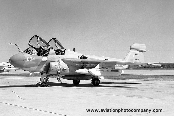 US Navy VAQ-132 Grumman EA-6B Prowler 161120/604 (1981)