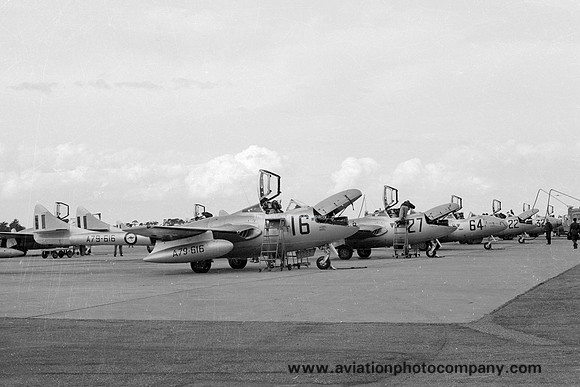 RAAF CFS De Havilland Vampire T.35 A79-616 (1965)