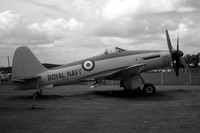 Royal Navy Westland Wyvern TF.1 VR137 at the FAA Museum (1969)