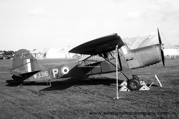Army Air Corps Auster S WJ316