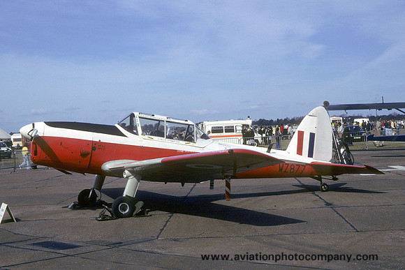 RAF 6 AEF DHC-1 Chipmunk T.10 WZ877 (1979)