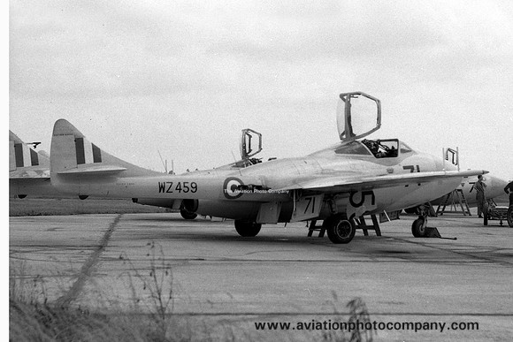 RAF 1 FTS De Havilland DH.100 Vampire T.11 WZ459/71
