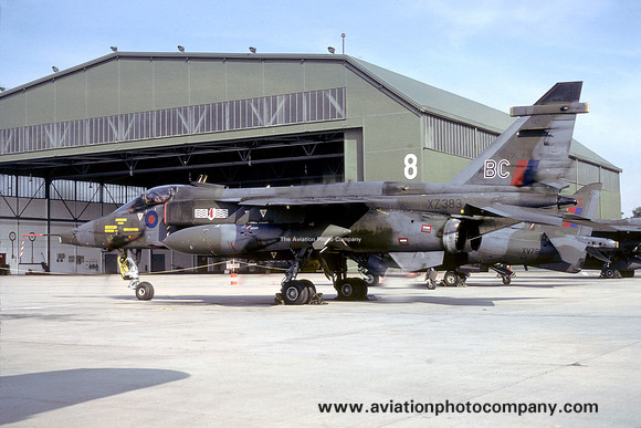 RAF 17 Squadron Sepecat Jaguar GR.1 XZ383/BC (1981)