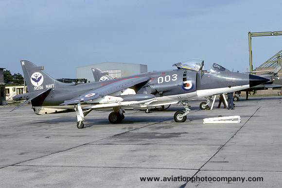 Royal Navy 801 Squadron Hawker Siddeley Sea Harrier FRS.1 XZ495/N003 at RAF Lossiemouth (1981)