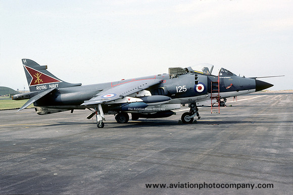 Royal Navy 800 Squadron Hawker Siddeley Sea Harrier FRS.1 XZ459/H125 at RAF Lossiemouth (1981)