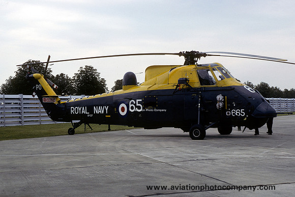 Royal Navy 737 Squadron Westland Wessex HAS.3 XP137/PO665 (1981)