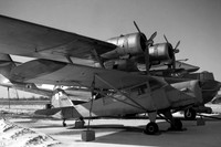 Beagle A.61 Terrier 1 CF-NQC