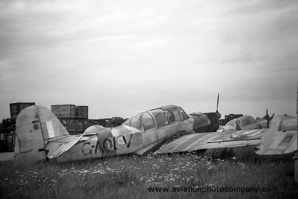 Percival P.40 Prentice T.1 G-AOLV at Southend (1960)