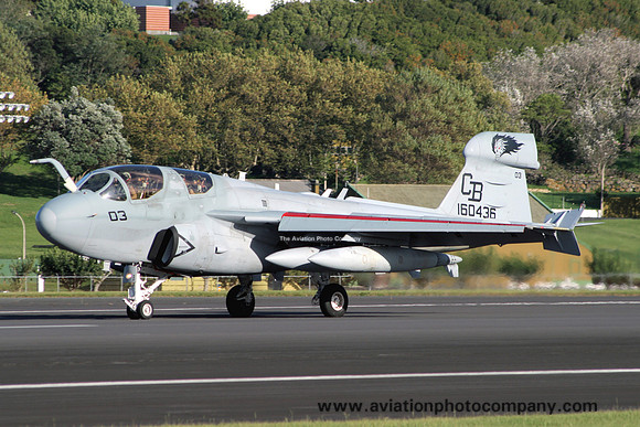 US Marines VMAQ-1 Grumman EA-6B Prowler 160436/CB-03 (2009)