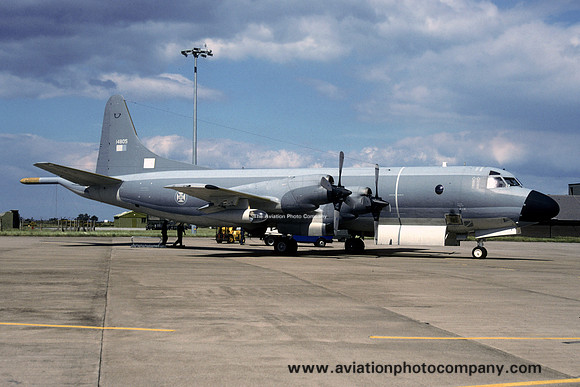 Portuguese Air Force Esq 601 Lockheed P-3P Orion 14805 (1996)
